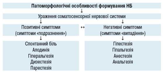 Особливості формування нейропатичного болю