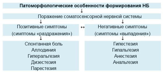 Особенности формирования НБ